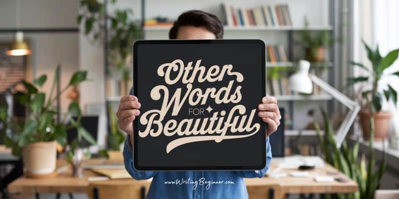 500 Other Words For Beautiful Example Sentences Writing Beginner