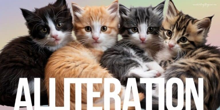 800+ Alliteration Examples (A-Z List With Sentences) - Writing Beginner